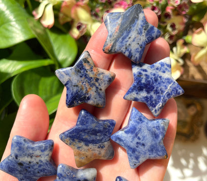 Sodalite Star Carving