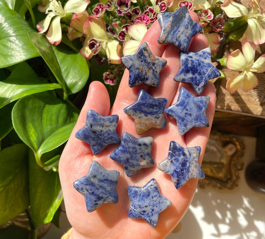 Sodalite Star Carving