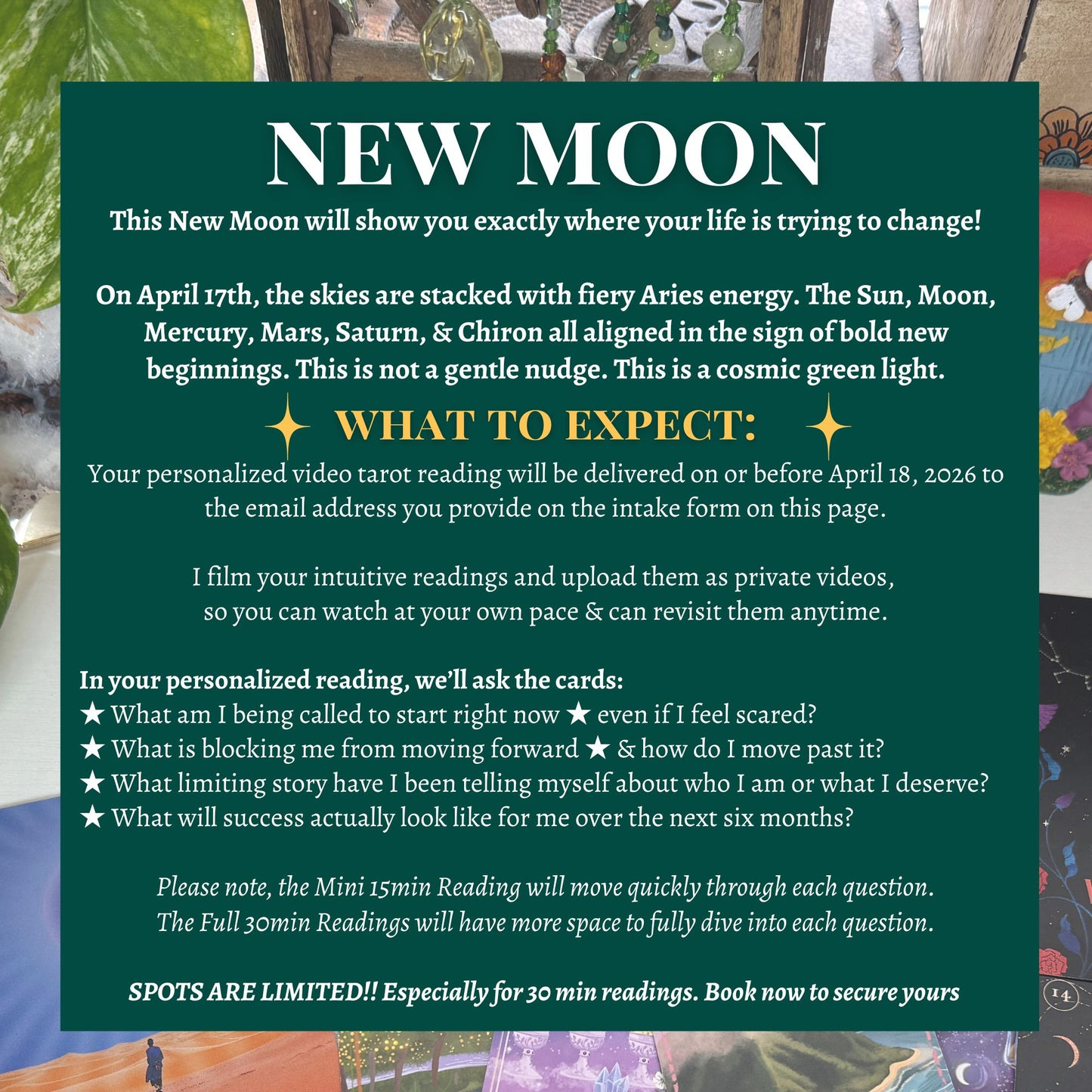 New Moon in Aries Tarot Reading | April 17