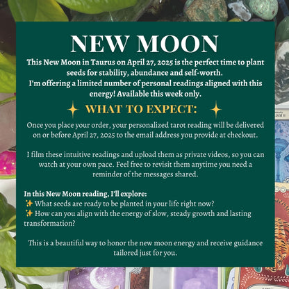 New Moon Tarot Reading LIMITED QUANTITY