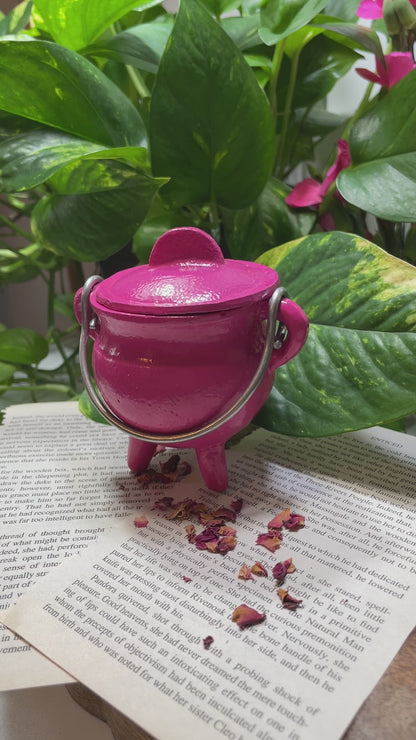 Pink Cast Iron Cauldron